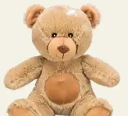 Pflanzen Kölle Trixie Teddybär Angebot