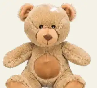 Pflanzen Kölle Trixie Teddybär Angebot