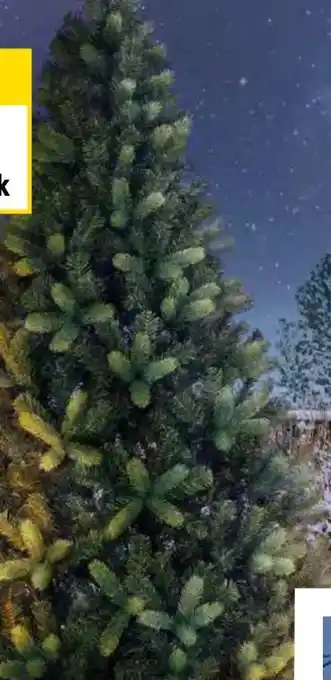 OBI KUNSTTANNE KETOLA XXL Angebot