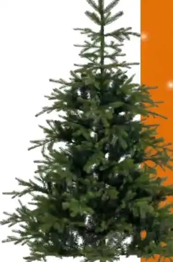 OBI KUNSTTANNE GRIMSHAW Angebot