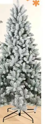 OBI KUNSTTANNE NAGANO XL Angebot