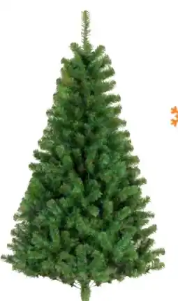 OBI KUNSTTANNE FUNDY Angebot