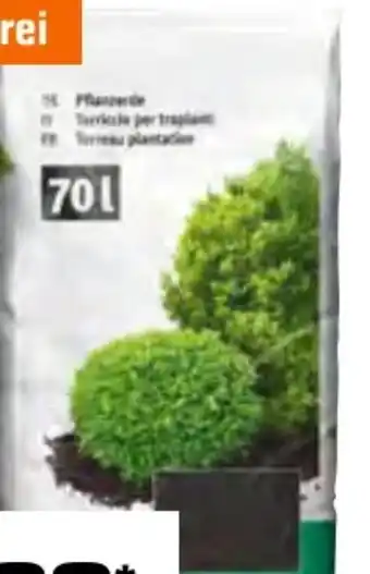 OBI Pflanzerde Angebot