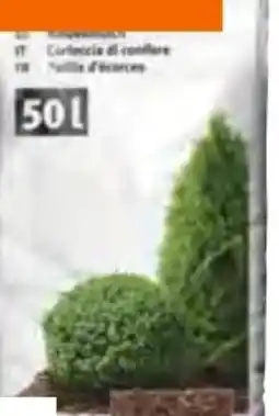 OBI Rindenmulch Grob Angebot