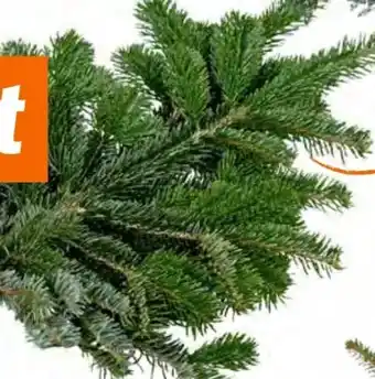 OBI Nobilis-Nordmannhandbunde Angebot