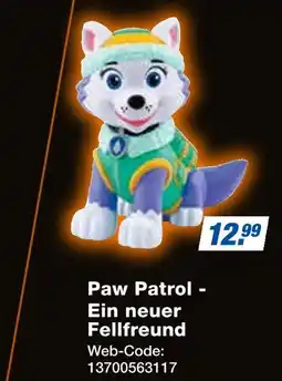 Expert Paw patrol - ein neuer fellfreund Angebot