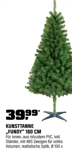 OBI Kunsttanne fundy 180 cm Angebot