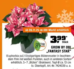 OBI Grow by obi fantasy star Angebot