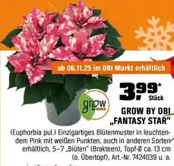OBI GROW BY OBL ,,FANTASY STAR" Angebot
