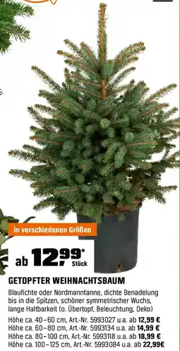 OBI GETOPFTER WEIHNACHTSBAUM höhe ca. 40–60 cm Angebot