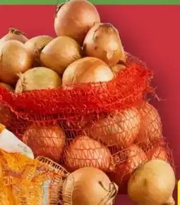 Aldi Nord Zwiebeln XXL Angebot