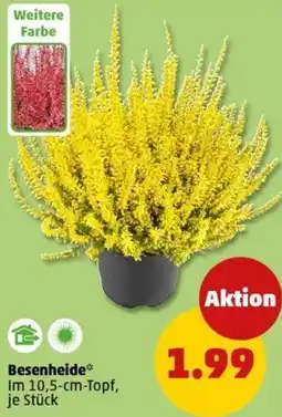 PENNY Besenheide Angebot