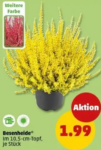 PENNY Besenheide Angebot