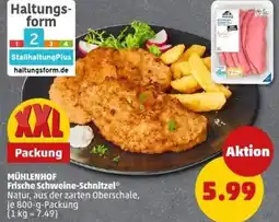 PENNY MÜHLENHOF Frische Schweine-Schnitzel Angebot