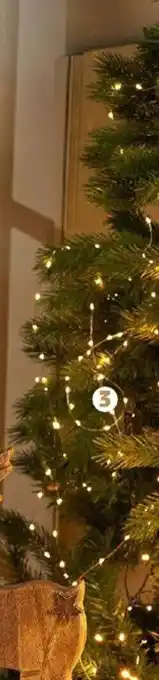 PENNY 200er-LED-Lichterkette Angebot