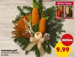 PENNY Grabschale groẞ Angebot