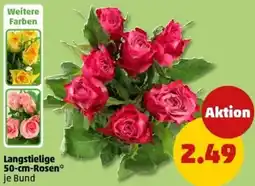 PENNY Langstielige 50-cm-Rosen Angebot