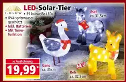 Norma LED-Solar-Tier Angebot