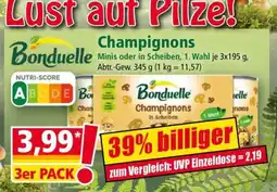 Norma Champignons Angebot