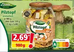 Norma Pilztopf Angebot