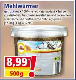 Norma Mehlwürmer Angebot