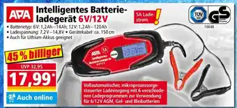Norma Intelligentes Batterieladegerät 6V/12V Angebot
