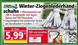 Norma Winter-Ziegenlederhandschuhe Angebot