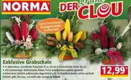Norma Exklusive Grabschale Angebot
