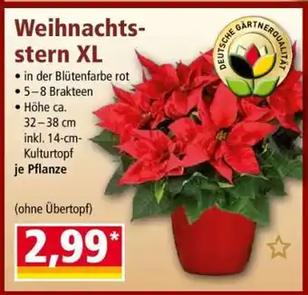 Norma Weihnachtsstern XL Angebot