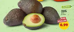 PENNY Avocado angerieft Angebot