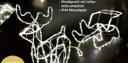 Thomas Philipps LED Rentier mit Schlitten Angebot