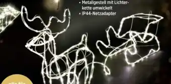 Thomas Philipps LED Rentier mit Schlitten Angebot
