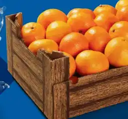 Lidl Mandarinen Angebot