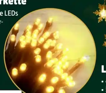 Thomas Philipps LED Lichterkette Angebot