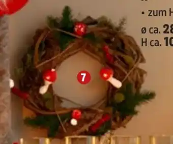 Thomas Philipps Rattankranz Fliegenpilz Angebot