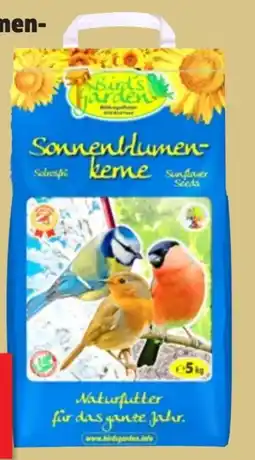 Thomas Philipps Bird's Garden Sonnenblumenkerne Angebot