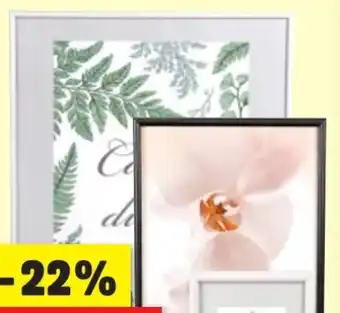 Thomas Philipps Bilderrahmen Angebot