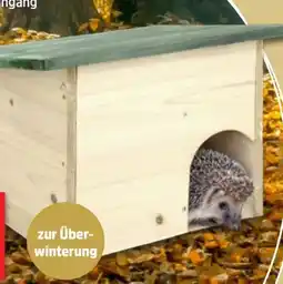 Thomas Philipps Igel-Hotel Angebot