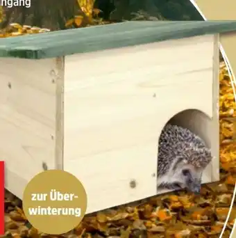 Thomas Philipps Igel-Hotel Angebot