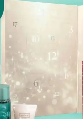 Thomas Philipps Sence Adventskalender Champagne Crush Angebot