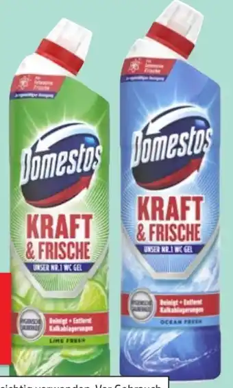 Thomas Philipps Domestos WC-Kraftgel Angebot