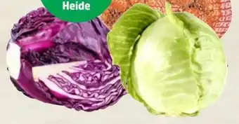 Thomas Philipps Weißkohl Angebot