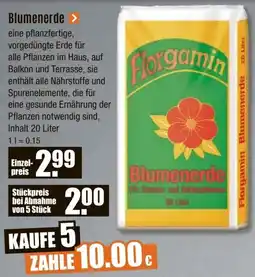 V Baumarkt Forgamin Blumenerde Angebot