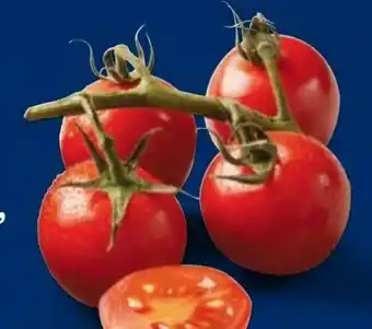 Lidl Cherrystrauchtomaten Angebot