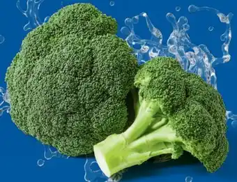 Lidl Brokkoli Angebot