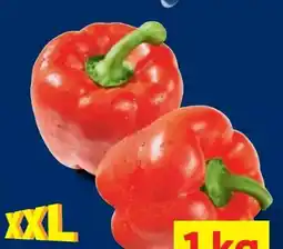 Lidl Rote Paprika Angebot