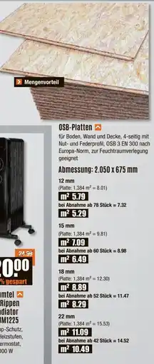 V Baumarkt OSB-Platten Angebot