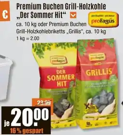 V Baumarkt profagús Premium Buchen Grill-Holzkohle „Der Sommer Hit“ Angebot