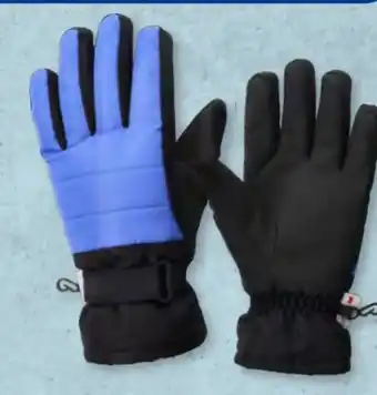 Aldi Süd Crane Damen Ski-Fleece-Handschuhe Angebot