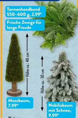 Aldi Süd Gardenline Tannenhandbund Angebot